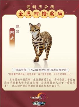 天龙八部私服魁拔